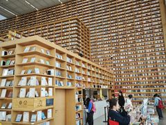 -朵云书院(滴水湖店)