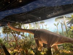 -陕西自然博物馆