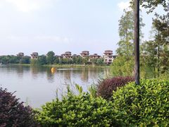 -美的鹭湖森林度假区