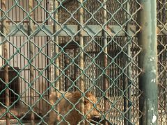 -宿豫区运河湾森林动物园