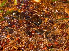 -胖子鱼·天水麻辣鱼火锅(秦州407店)