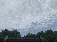 -湖南东洞庭湖国家级自然保护区