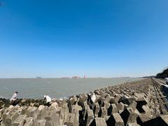 -上海滨江森林公园