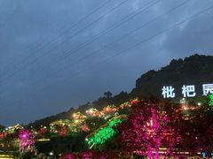 -枇杷园食为鲜火锅(南山店)