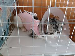 -达爱动物医院·犬猫分区·CT·复杂眼科(远洋山水分院)