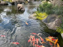 -罗红摄影艺术馆