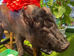 -怀化名堂(正清路店)