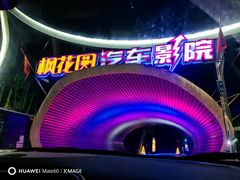 -枫花园汽车电影院(朝阳公园店)