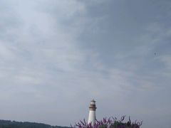 -紫颐香薰山谷景区