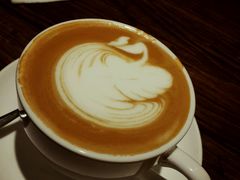 -D STAR COFFEE帝星咖啡
