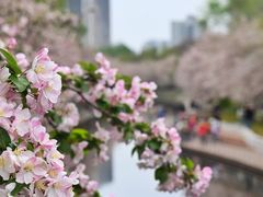 -海棠花溪(元大都城垣遗址公园)