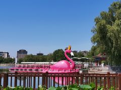 -莲花池公园