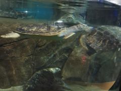 -福州罗源湾海洋世界旅游区