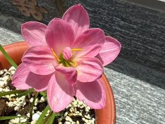 -魔指传奇足疗保健SPA(牛市口店)