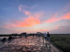 -南汇嘴观海公园