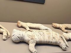 -上海博物馆(人民广场馆)