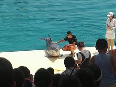 -北戴河圣蓝海洋公园