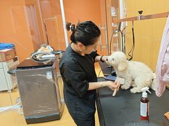 -MARSMART PETS火星宠物超市(1733店)