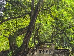 -郭洞古生态村