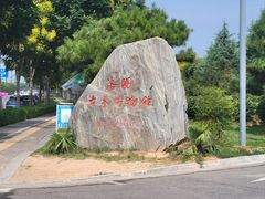 -洛阳古墓博物馆