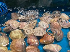 -SEA西雅图海鲜自助餐厅(海乐世界店)