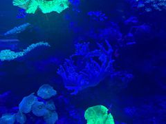 -上和臻品中国菜(花园街店)