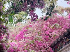 -深圳国际园林花卉博览园