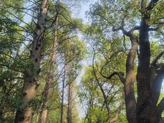 -同里国家湿地公园