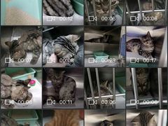 -芭比堂动物医院·24小时·眼科中心(深圳中心)