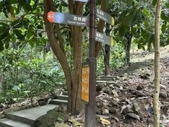 -深圳仙湖植物园