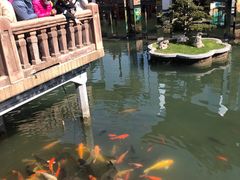 -鲜得来排骨年糕(豫园店)