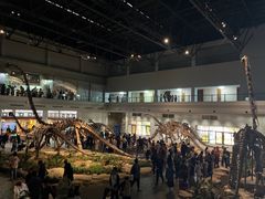 -自贡恐龙博物馆