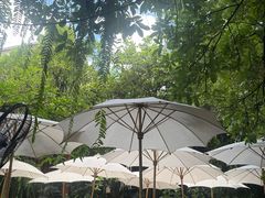 -Fern Forest Cafe