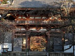 -醍醐寺