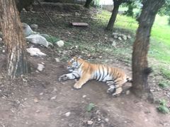 -西安秦岭野生动物园