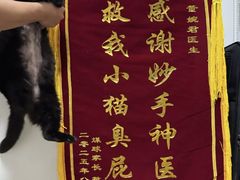 -美联众合动物医院·24h转诊中心