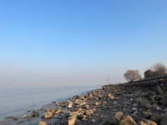 -上海滨江森林公园