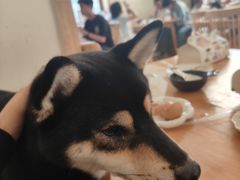 -柴の食堂·日式家庭料理·熊之肆(大学路店)