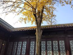 -南京市民俗博物馆(甘熙宅第)