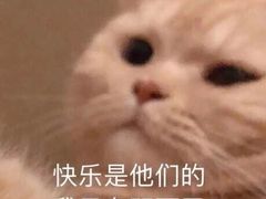 -德克士(砂之船奥特莱斯店)