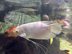 -太平洋海底世界