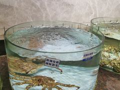 -新海利海鲜城·41年珠海老字号(夏湾店)