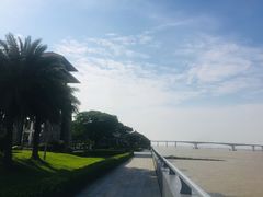 -大湾区中央湿地公园