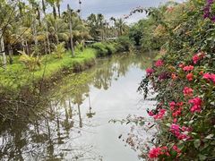 -兴隆槟榔园休闲农庄