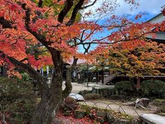 -医王山·飞騨国分寺