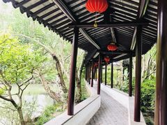 -上海醉白池公园
