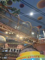 -卡通尼·Safari非洲探索乐园·生日会(金桥国际商业广场店)