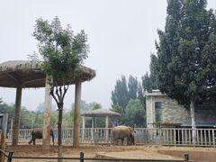 -石家庄市动物园