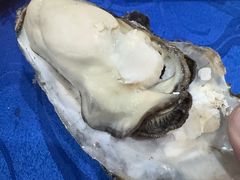 -蚝哥花姐湛江烤生蚝(美丽湾市场店)