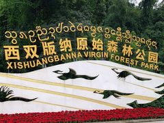 -西双版纳原始森林公园